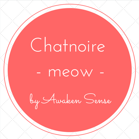 Chatnoire-meow