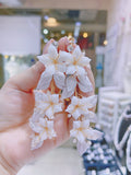 ｜結婚禮物首飾｜夾耳環 |夾式耳環香港｜無耳洞耳環｜ clip on earrings｜clip earrings｜ 珍珠耳夾