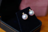 Lunachat 18K GOLD 8-9mm 白透粉日本AKOYA珍珠耳環
