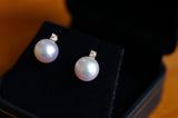 Lunachat 18K GOLD 8-9mm 白透粉日本AKOYA珍珠耳環