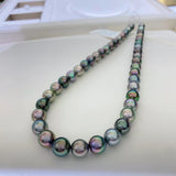 南洋珍珠頸鏈 |大溪地珍珠頸鏈｜珍珠吊墜| pearl necklace| Akoya珍珠頸鏈香港| Wedding necklace